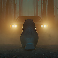 Don’t Mess With Bober